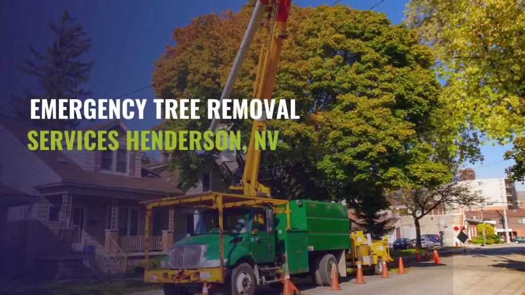 Emergency Tree Removal Services Henderson, NV