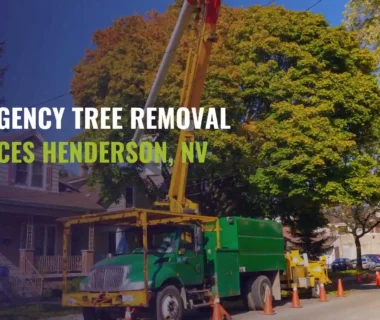 Tree Removal Services in Henderson